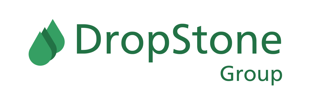 DropStone Group,Inc