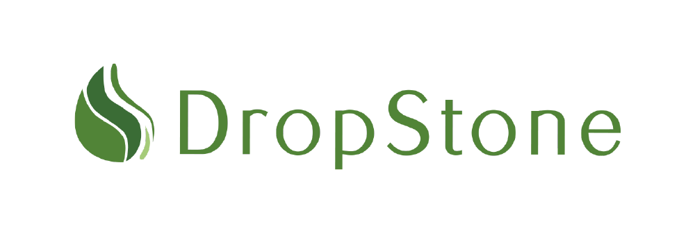 DropStone Group ロゴ